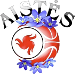 Aistes-LSU Kaunas