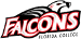 Florida College Falcons