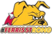 Ferris State Bulldogs