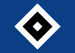 Football - Soccer - Hamburger SV