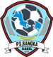PS Timah Babel
