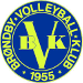 Br&oslash;ndby VK 2