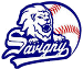 Lions de Savigny