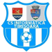 CS Informatica Timisoara (ROM)