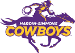 Hardin-Simmons Cowboys