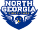 North Georgia Nighthawks