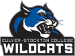 Culver-Stockton Wildcats