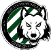 Szczypiorniak Gniezno