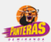 Panteras de Miranda