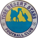 Yobe Desert Stars FC