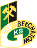 GKS Belchat&oacute;w U19