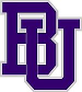 Bishop's Gaiters