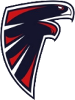 HC Falcons Bressanone