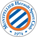 Montpellier H&eacute;rault SC U19