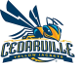 Cedarville Yellow Jackets