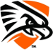 Texas-Permian Basin Falcons