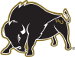 Harding Bisons