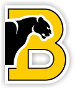 Birmingham-Southern Panthers