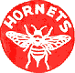 Pittsburgh Hornets