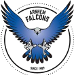 Arnhem Falcons