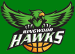 Ringwood Hawks