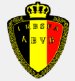 Football - Soccer - Belgium