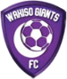 Wakiso Giants FC