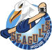 Haugesund Seagulls