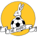 March Town United FC
