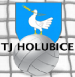 TJ Holubice