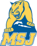 Mount St. Joseph Lions