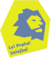VK Lvi Praha B