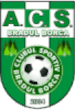 ACS Bradu Borca