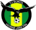 TJ Sokol Horn&iacute; Jiret&iacute;n