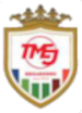 Toyota Motor East Japan