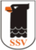 Football - Soccer - SSV Hagen
