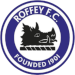 Football - Soccer - Roffey FC