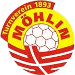 Handball - TV Möhlin 2
